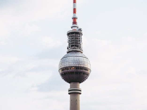 Vista en bajo ángulo de la torre de helechos contra el cielo
