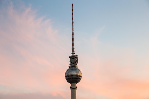 Vista en bajo ángulo de la torre de helechos contra el cielo