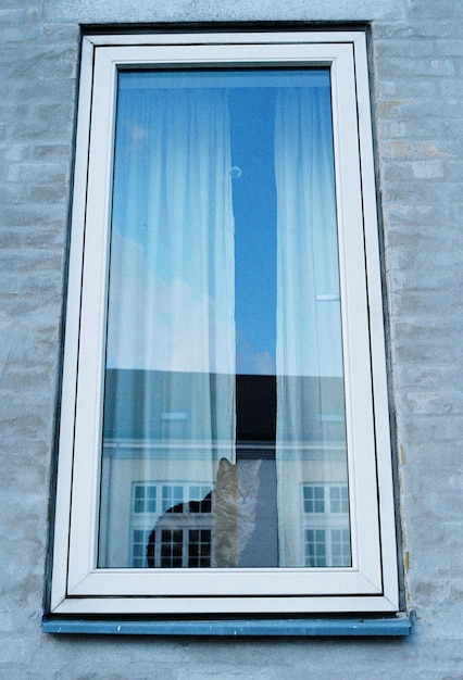 Foto vista de ángulo bajo de una ventana de vidrio de un edificio