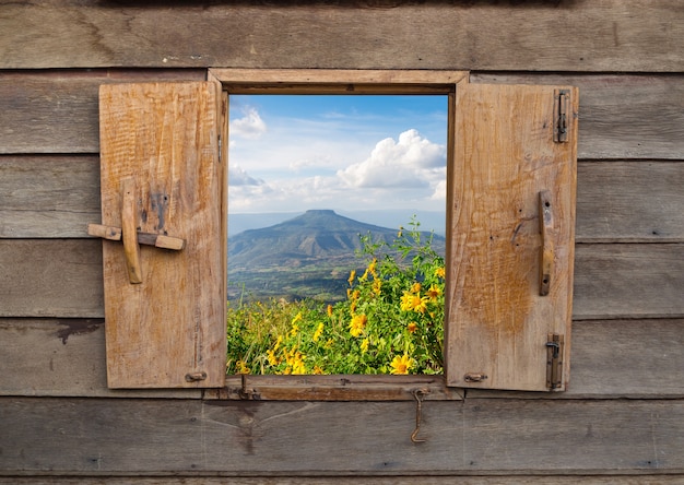 Foto vista, antigas, vindima, madeira, janelas, madeira, quadro, rural, paisagem