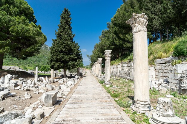 Vista de la antigua ciudad de Éfeso