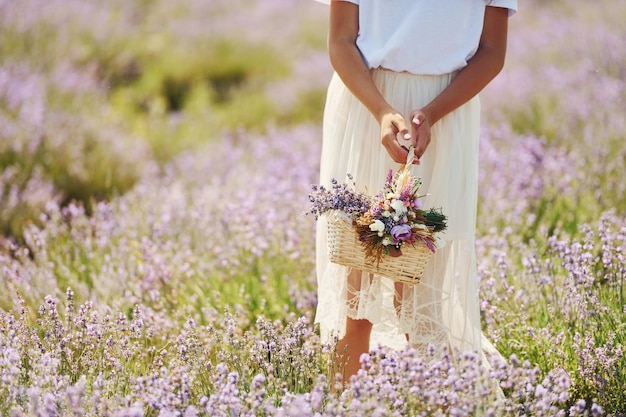 Vista aproximada da mulher de lindo vestido branco que usa cesta para coletar lavanda no campo