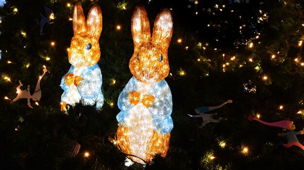 Foto vista del árbol de navidad iluminado por la noche