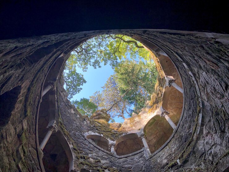 Foto vista de los árboles desde un ángulo bajo a través del agujero