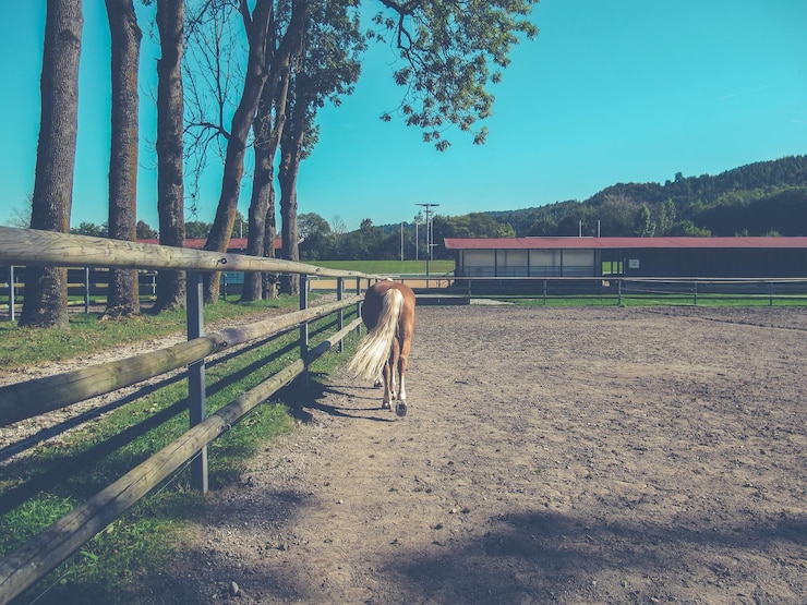 Foto vista de árboles en el paisaje contra el cielo
