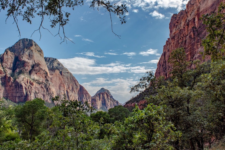 Foto vista de árboles y rocas contra un cielo nublado