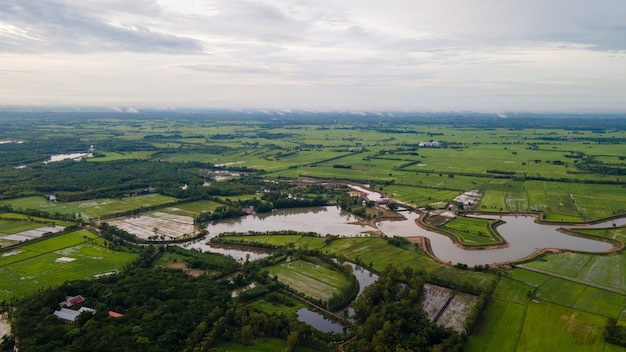 Vista de Ariel de los campos de arroz en Tailandia