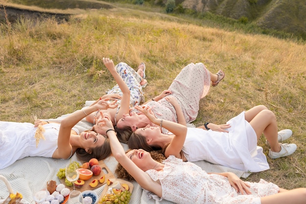 Vista desde arriba. La compañía de hermosas novias se divierte y disfruta de un picnic al aire libre.