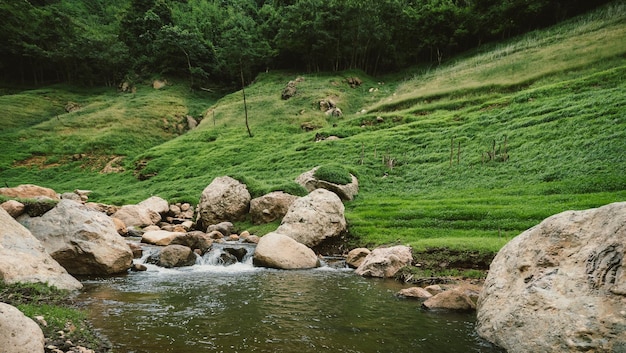 Vista de un arroyo que fluye a través de las rocas