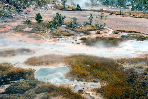 Vista del artista Paint Pots Yellowstone