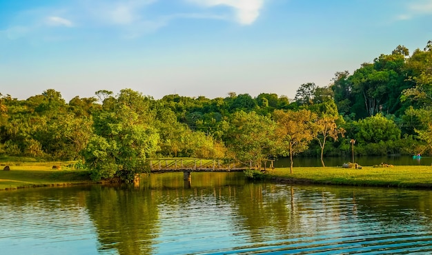 Vista del atardecer con árboles y cielo reflejándose en el lago.