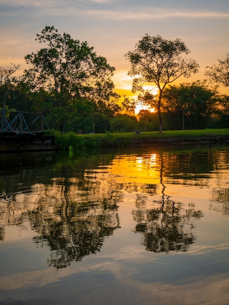 Vista del atardecer con árboles y cielo reflejándose en el lago.