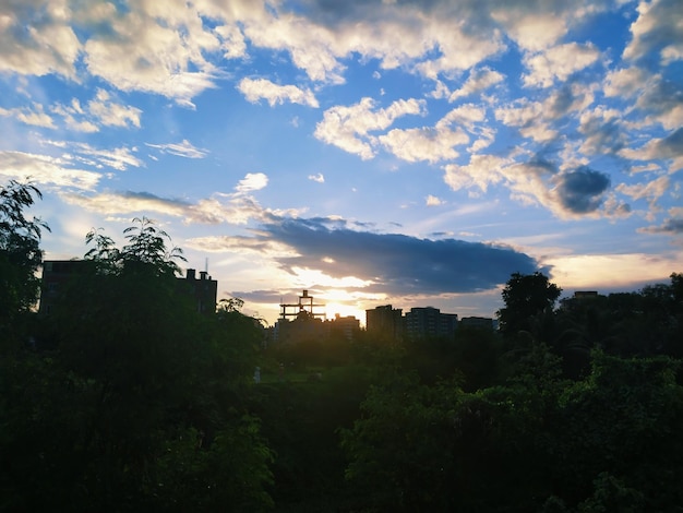 Una vista del atardecer de una ciudad con un árbol en primer plano