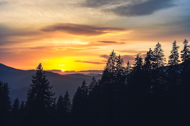 Vista del atardecer de la silueta de los árboles y los picos de las montañas