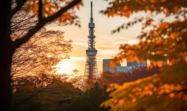 Vista del atardecer con la Torre de Tokio, Japón