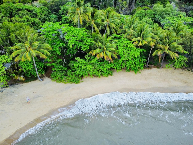 Vista desde un avión no tripulado de la playa de arena de Ellis del mar azul contra los árboles