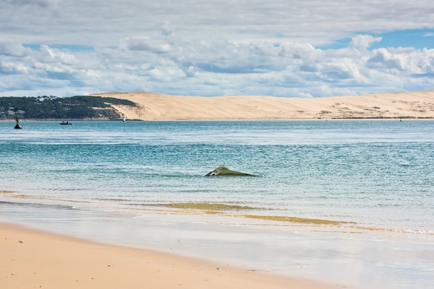 Foto vista de la bahía de arcachon y la duna de pyla, aquitania, francia