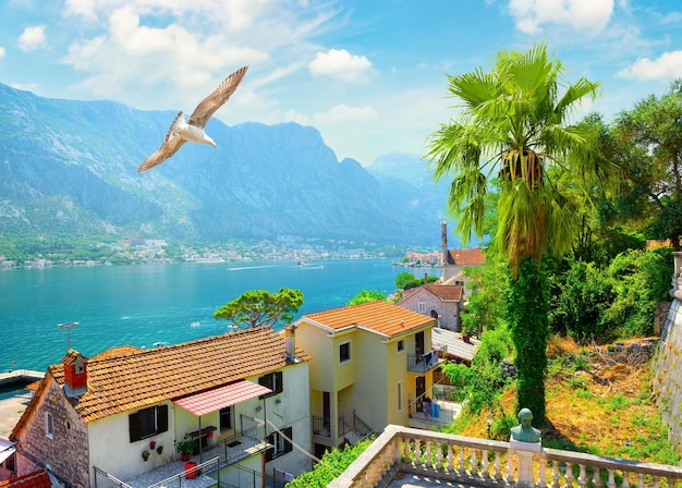 Vista de la bahía de Kotor