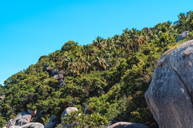 Vista de la bahía y las rocas de la islaShark Bay Koh Tao