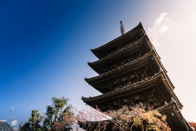 Vista baixa ângulo, de, antigas, templo, em, japão