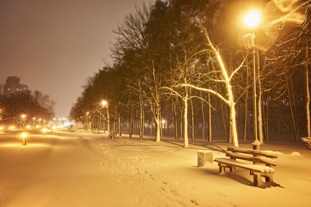 Vista del banco contra el árbol de navidad y linterna brillante a través de la nieve