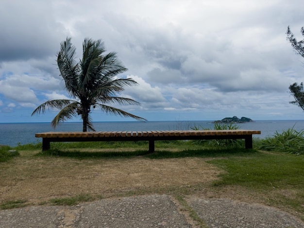 Vista de un banco vacío con cocoteros y el mar de fondo en Praia da Joatinga Río de Janeiro Brasil Día con cielo azul y algunas nubes