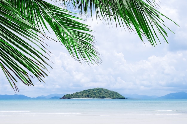 Vista de bonitas palmeras tropicales. Concepto de vacaciones y vacaciones