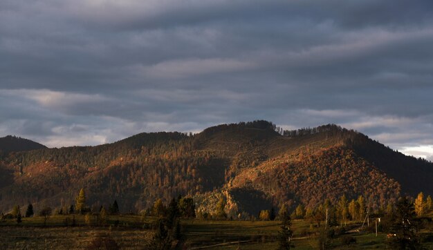 Vista del bosque de montaña en forma de corazón al atardecer con espacio de copia