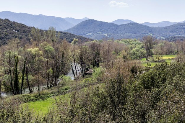 Vista del bosque de las montañas y el rápido río Ladonas en primavera en un día soleado montaña Achaea Peloponeso Grecia