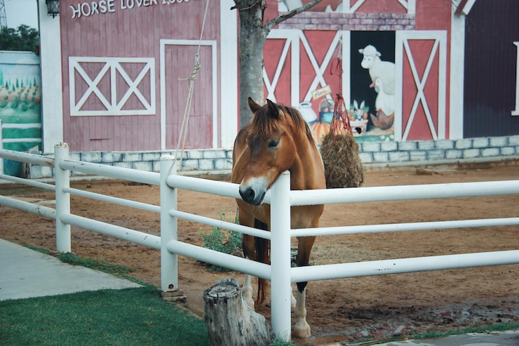 Foto vista del caballo en el establo