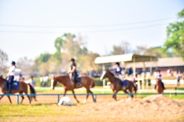 Foto vista de los caballos en el suelo