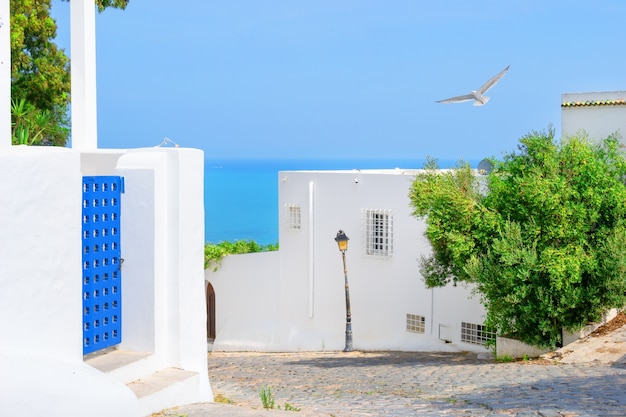 Vista desde la calle del blanco con ciudad azul al mar