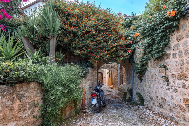 Foto vista de la calle del casco antiguo de rodas, grecia, caminos pavimentados y aceras con casas coloridas y fragantes.