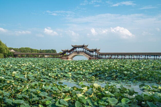 Foto vista de la calle de la ciudad antigua de jinxi en el municipio de agua de jiangnanxaxa