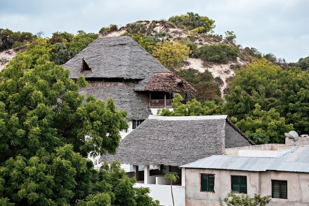 Vista de la calle de la ciudad de Shela en la isla de Lamu, antiguas casas blancas en Lamu, Kenia