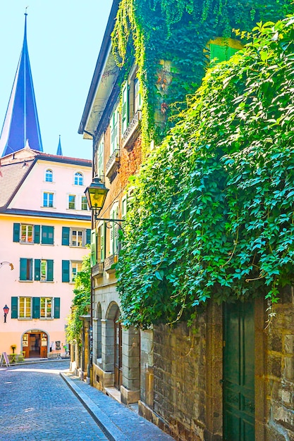 Vista de la calle de Lausana en verano