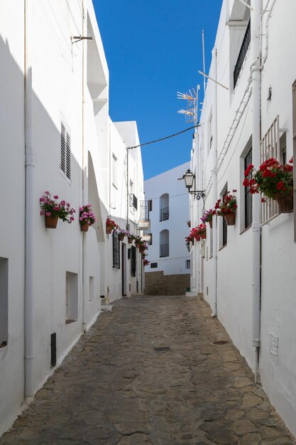 Vista de una calle de Mojacar macetas en ambas aceras Almeria Andalucia España