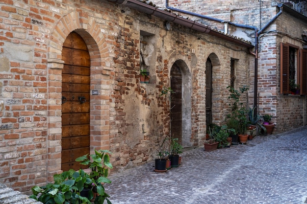 Vista de la calle ripatransona