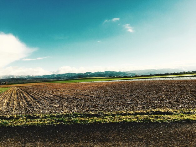 Foto vista de un campo agrícola contra el cielo