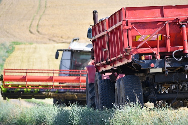 Vista del campo agrícola