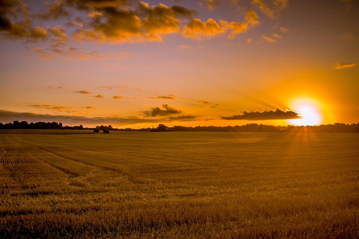 Foto vista de un campo al amanecer