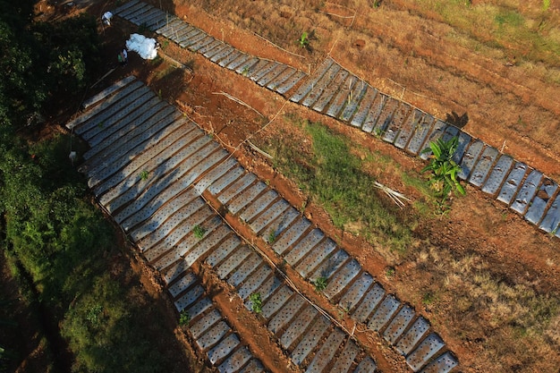 Vista de un campo cultivado por los agricultores en la ladera de la montaña