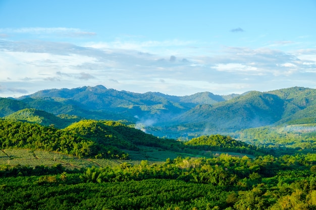 Vista del campo en día de sol