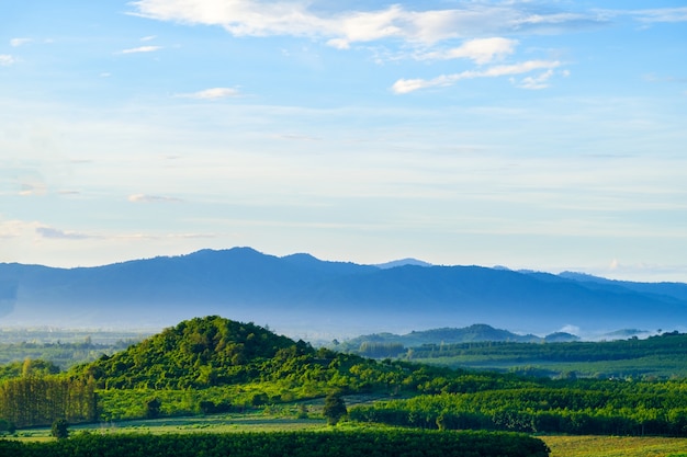 Vista del campo en día de sol