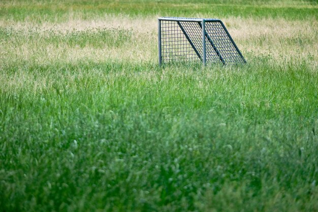 Vista del campo de fútbol