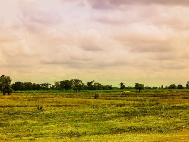 vista del campo de hierba en el cielo con nubes