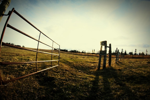 Foto vista de un campo de hierba contra el cielo