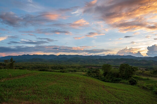 Vista del campo con hierba verde y cielo azul.