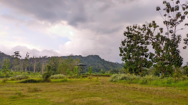 vista del campo con montañas y cielo nublado