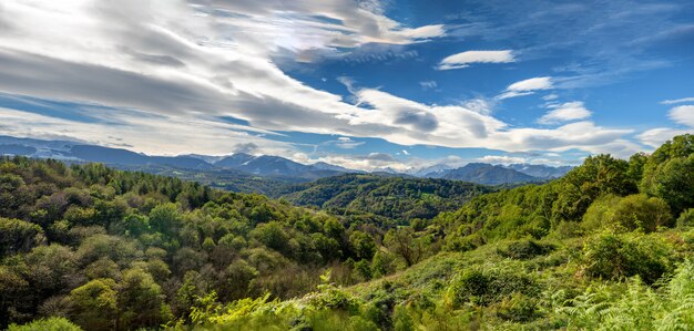 Vista del campo con los montes pirineos.